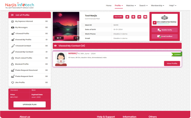 advance-matrimonial-preview