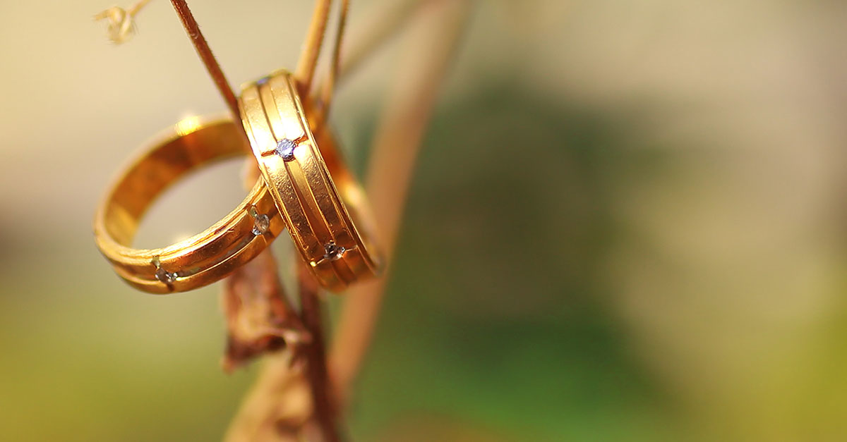 the-ultimate-back-end-side-features-should-be-in-your-matrimonial-website